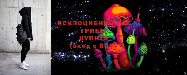 твердый Зеленокумск