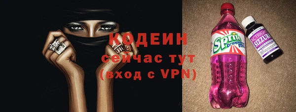 прущие грибы Инсар