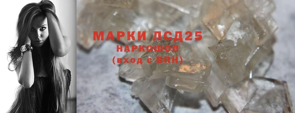 прущие грибы Инсар