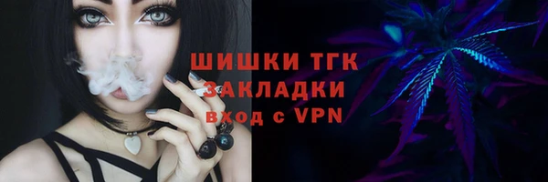 гашик Инта