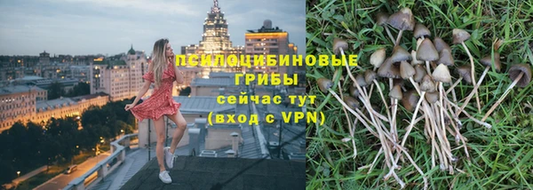 твердый Зеленокумск