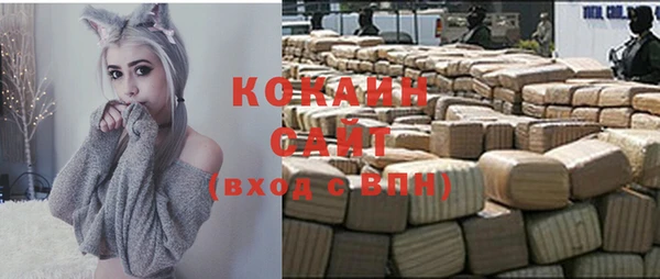 гашик Инта