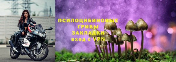 шишки Зеленодольск