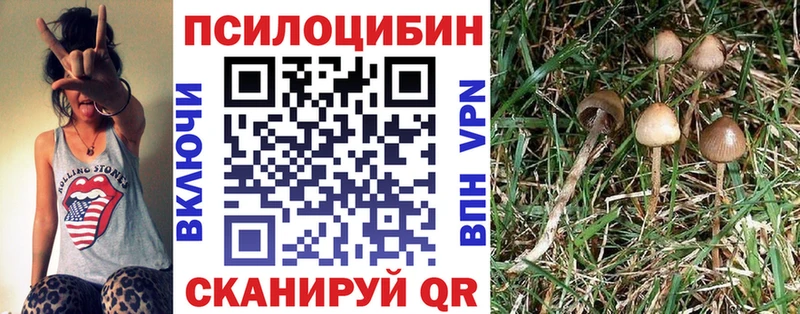 Псилоцибиновые грибы мухоморы  Купить закладки  Вихоревка 